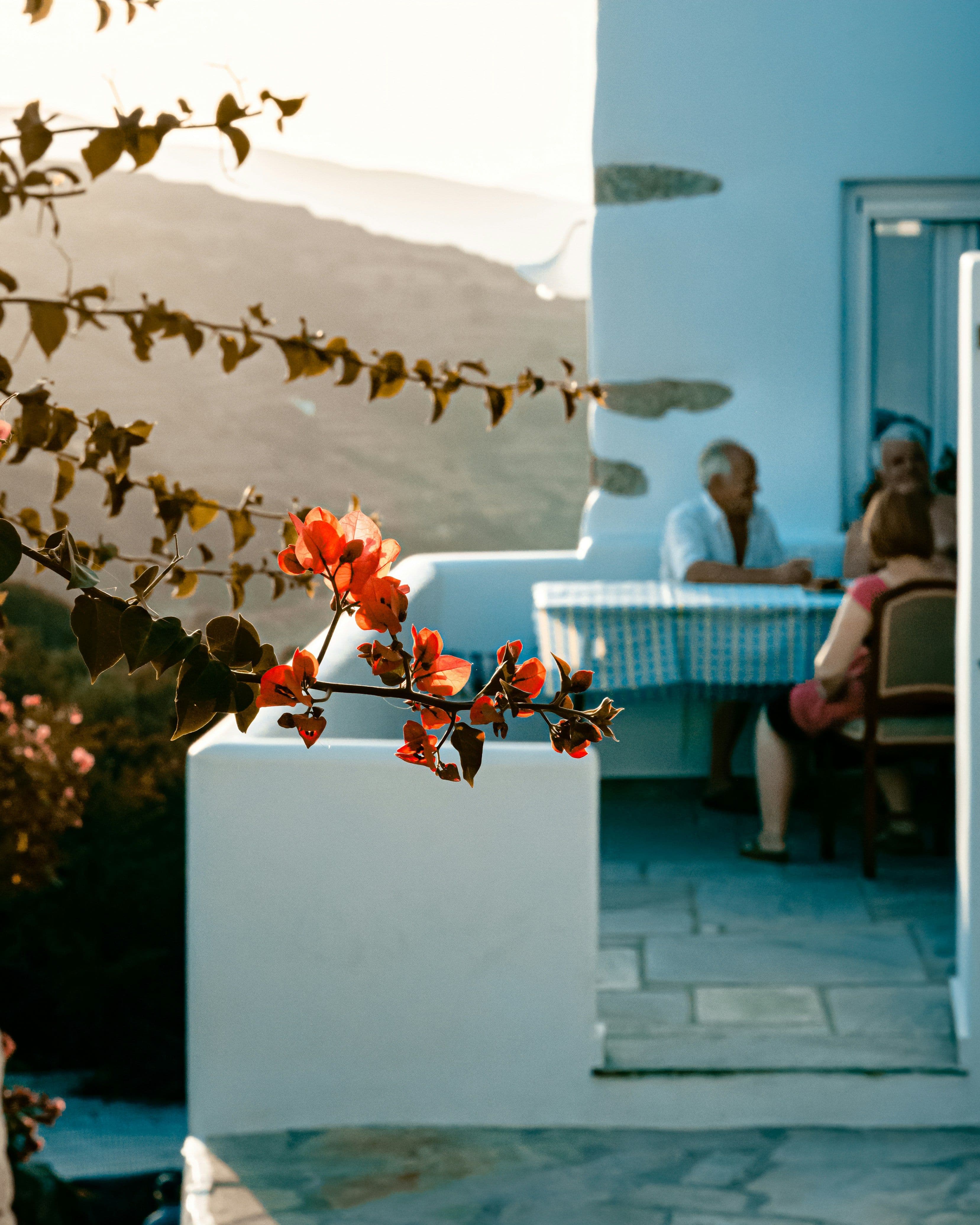 Tinos Rising: From Spiritual Retreat to Creative Haven in the Cyclades